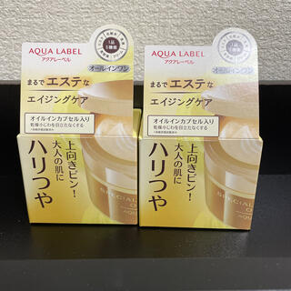 シセイドウ(SHISEIDO (資生堂))の資生堂・アクアレーベル・スペシャルジェルクリームA オイルイン(90g)×2個(オールインワン化粧品)