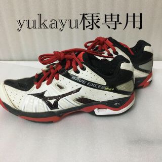 ミズノ(MIZUNO)のオムニクレー用テニスシューズ ミズノ(シューズ)