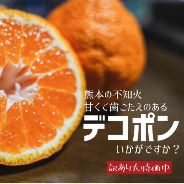 熊本県産　不知火　10キロ 食品/飲料/酒の食品(フルーツ)の商品写真