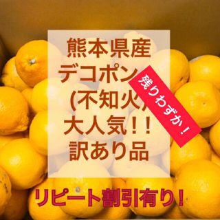 熊本県産　不知火　10キロ(フルーツ)