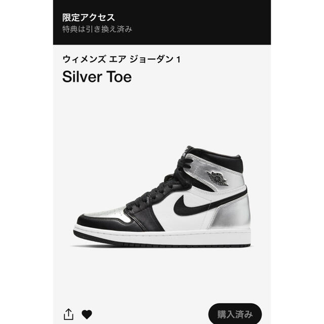 NIKE(ナイキ)のAIR JORDAN1 Silver Toe 28.5 メンズの靴/シューズ(スニーカー)の商品写真