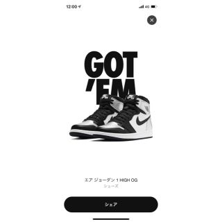 ナイキ(NIKE)のAIR JORDAN1 Silver Toe 28.5(スニーカー)