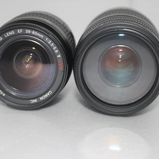 Canon - キャノン Canon EOS 6D Mark II 標準&望遠ダブルレンズセット 