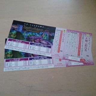 よみうりランド　入園招待券　２枚　②(遊園地/テーマパーク)