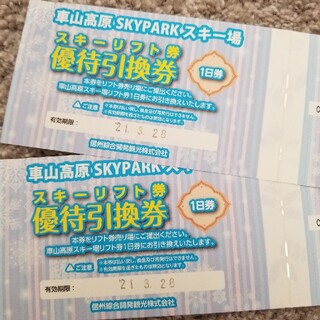 【chai様専用】車山高原SKYPARKスキー場 リフト券2枚(スキー場)