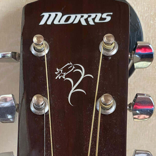 アコギ MORRIS レフティ 楽器のギター(アコースティックギター)の商品写真