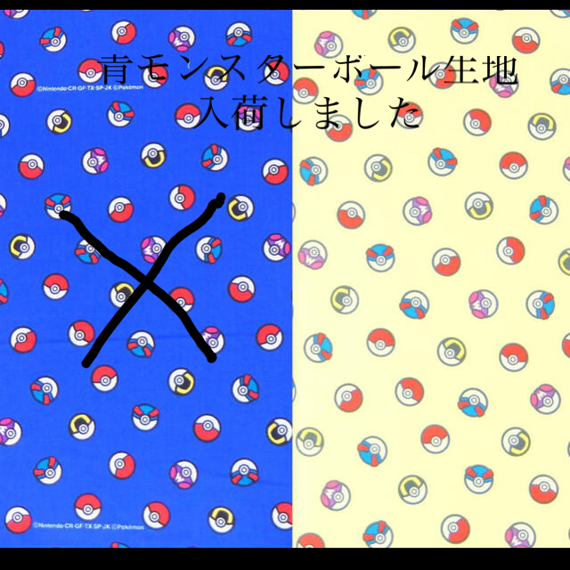 入園入学グッズ　ポケットモンスター