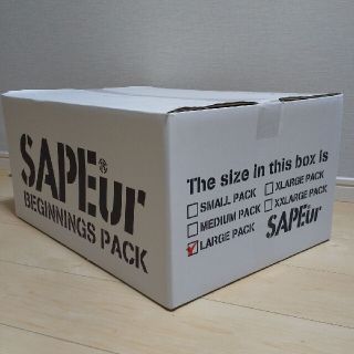 サプール　SAPEur　BIGININGPACK(その他)