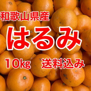はるみオレンジ　10㎏箱に満杯　送料込み(フルーツ)