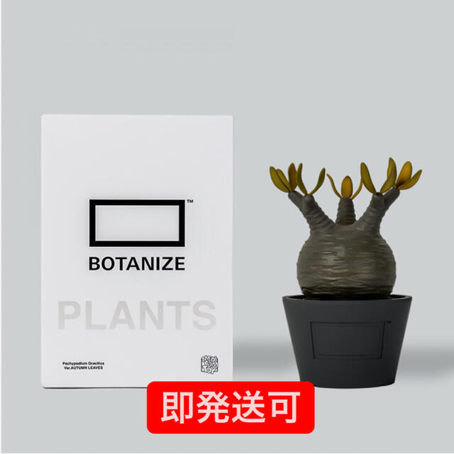 Medicom Toy Botanize gracilius 即発送可