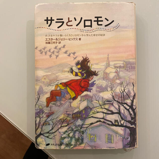 サラとソロモン 少女サラが賢いふくろうソロモンから学んだ幸せの秘訣 エンタメ/ホビーの本(人文/社会)の商品写真