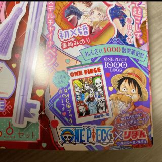 ONE PIECE りぼん ３月号 付録 ブックカバー ピンナップの通販 by HYT