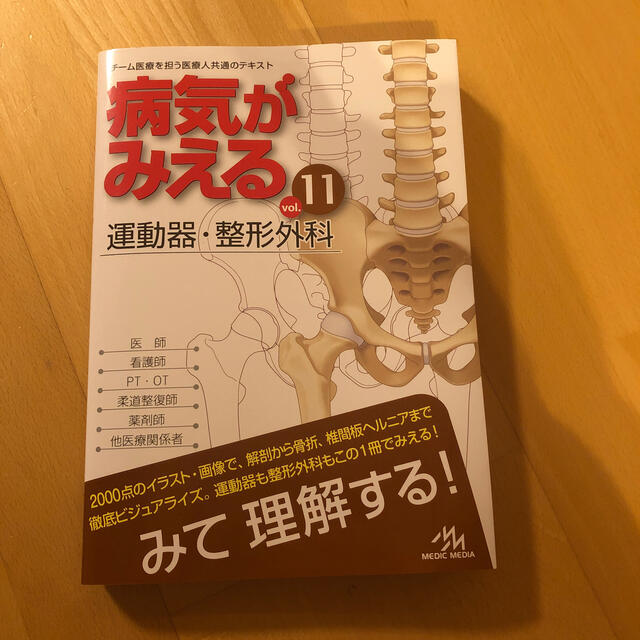 病気がみえる チーム医療を担う医療人共通のテキスト ｖｏｌ．１１ エンタメ/ホビーの本(健康/医学)の商品写真