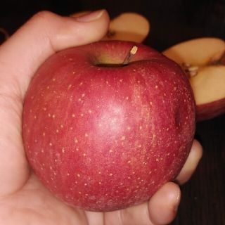 ふじリンゴ10㎏コミコミ2685円(フルーツ)