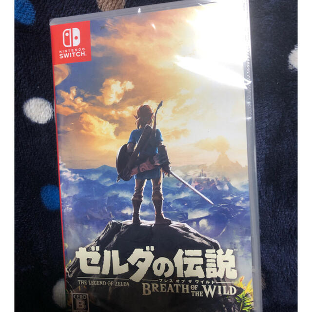 ゼルダの伝説 ブレス オブ ザ ワイルド Switch