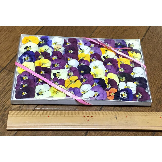 s⑦ 銀の紫陽花が作った可愛い彩りビオラのドライフラワー ハンドメイドのフラワー/ガーデン(ドライフラワー)の商品写真
