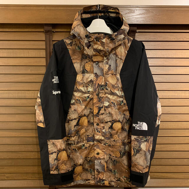 シュプノース TNF leaves mountain light jacket