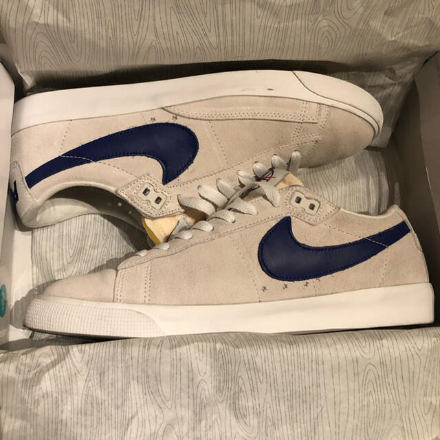 POLAR NIKE SB BLAZER LOW