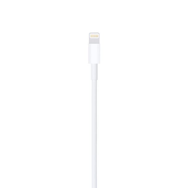 Apple(アップル)の純正新品✨Lightning - USBケーブル（1m） スマホ/家電/カメラのスマートフォン/携帯電話(バッテリー/充電器)の商品写真