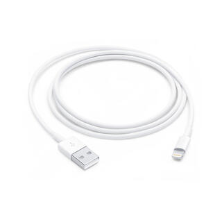 アップル(Apple)の純正新品✨Lightning - USBケーブル（1m）(バッテリー/充電器)