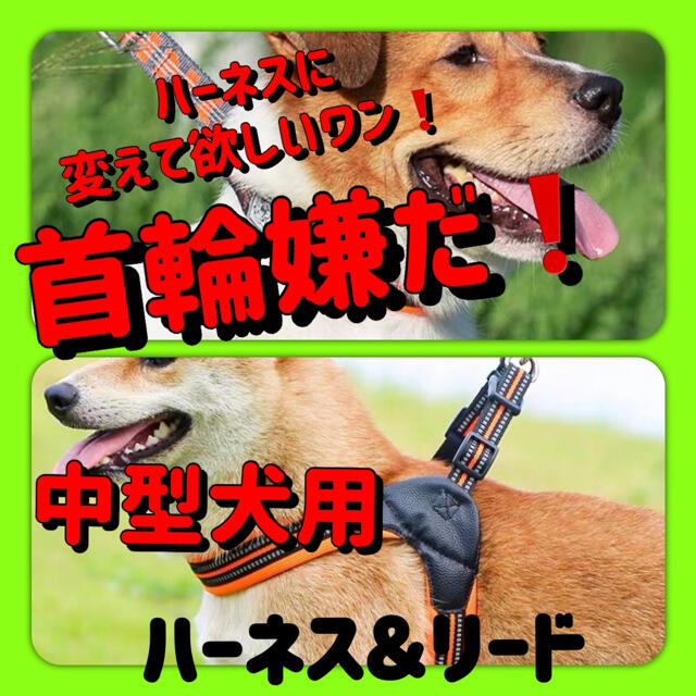 【２点セット】Ｍ　愛犬の首輪ストレス解消中型犬用高級タイプハーネス&リード その他のペット用品(犬)の商品写真