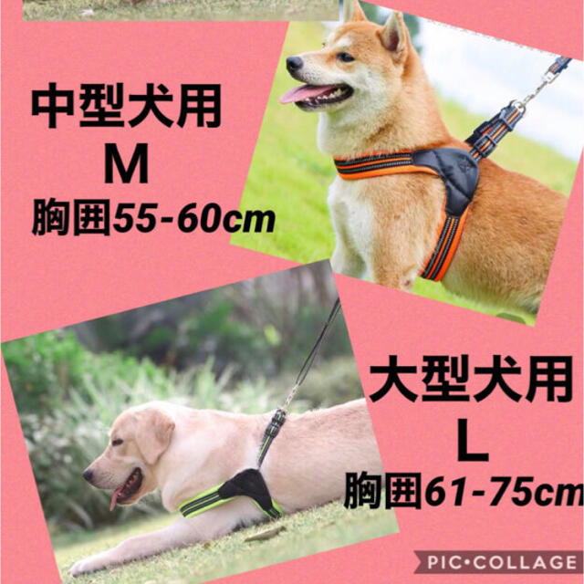 【２点セット】Ｍ　愛犬の首輪ストレス解消中型犬用高級タイプハーネス&リード その他のペット用品(犬)の商品写真