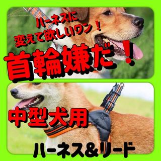 【２点セット】Ｍ　愛犬の首輪ストレス解消中型犬用高級タイプハーネス&リード(犬)