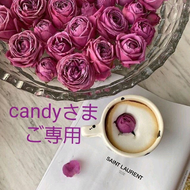 ????candyさま　ご専用????