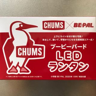 チャムス(CHUMS)のブービーバード　LEDランタン(ライト/ランタン)