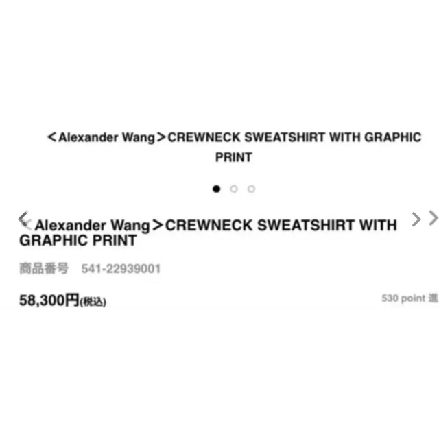 Alexander Wang(アレキサンダーワン)のalexanderwang、トレーナー メンズのトップス(スウェット)の商品写真