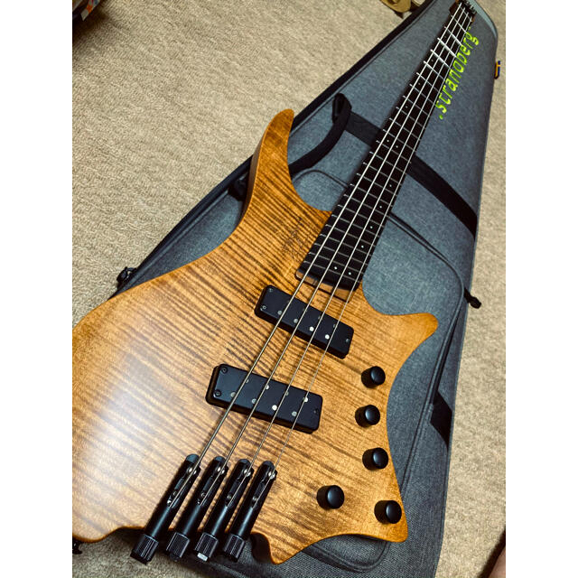 Strandberg Boden Bass Prog 4