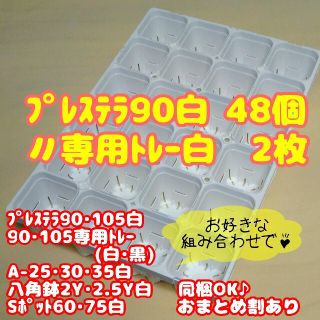 【スリット鉢】プレステラ90白48個＋専用システムトレー白2枚 多肉植物(プランター)