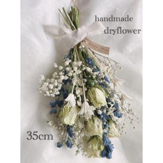 ✩.*˚ドライフラワースワッグ✩.*˚natural white＆blue(ドライフラワー)