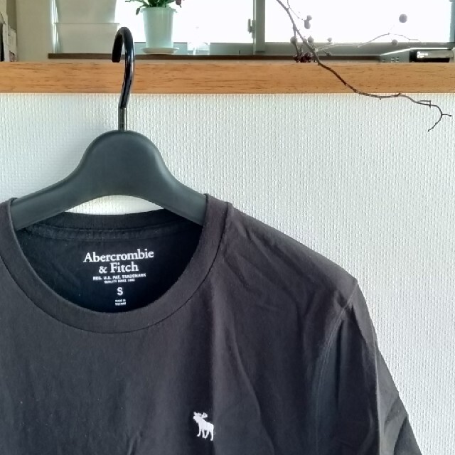 Abercrombie&Fitch(アバクロンビーアンドフィッチ)の🦌アバクロンビー　Ｔシャツ メンズのトップス(Tシャツ/カットソー(半袖/袖なし))の商品写真