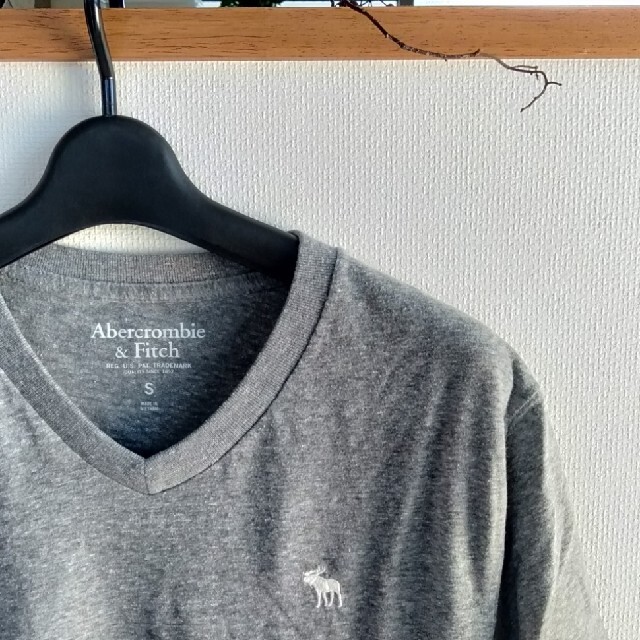 Abercrombie&Fitch(アバクロンビーアンドフィッチ)の🦌アバクロンビー　Ｔシャツ グレー〚美品〛 メンズのトップス(Tシャツ/カットソー(半袖/袖なし))の商品写真