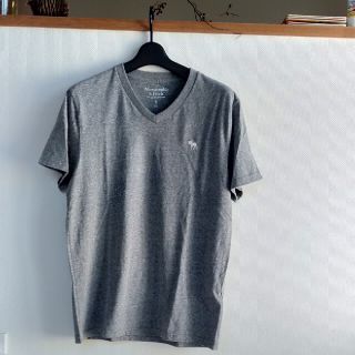 アバクロンビーアンドフィッチ(Abercrombie&Fitch)の🦌アバクロンビー　Ｔシャツ グレー〚美品〛(Tシャツ/カットソー(半袖/袖なし))