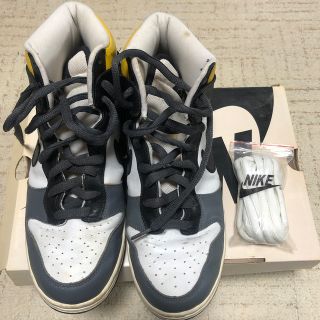 ナイキ(NIKE)のNIKE SB DUNK HIGH PRO(スニーカー)