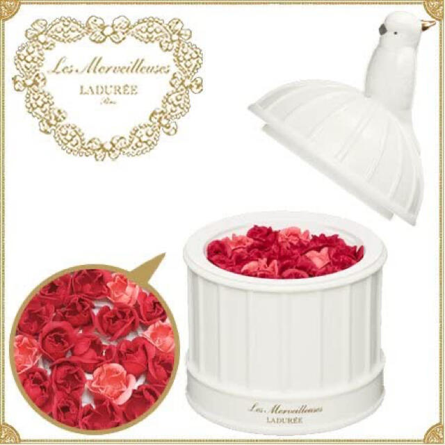 未使用 6THアニバーサリー チーク オウム LADUREE - raicesdelarte.com.mx