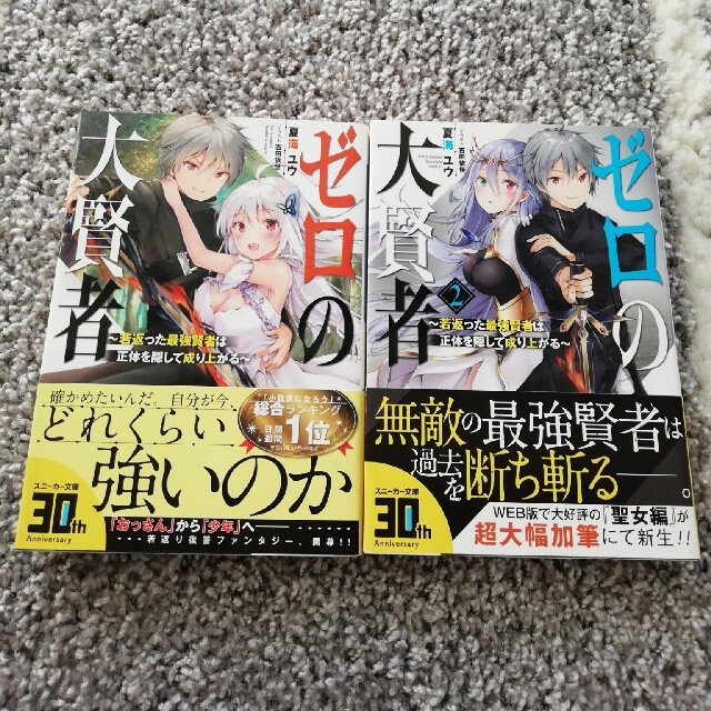 ゼロの大賢者 若返った最強賢者は正体を隠して成り上がる  エンタメ/ホビーの本(文学/小説)の商品写真