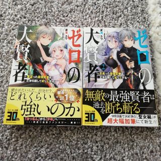 ゼロの大賢者 若返った最強賢者は正体を隠して成り上がる (文学/小説)