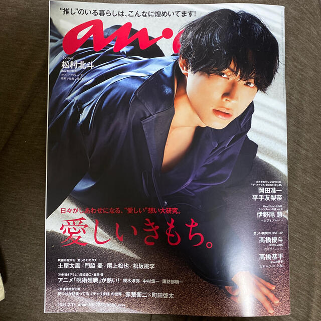 Johnny's(ジャニーズ)のanan (アンアン) 2021年 2/17号 エンタメ/ホビーの雑誌(その他)の商品写真