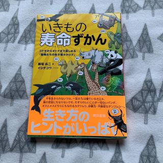 うさぎ様専用　いきもの寿命ずかん (絵本/児童書)