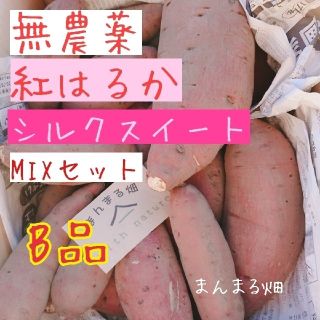 無農薬 さつまいもセット訳あり品！(野菜)