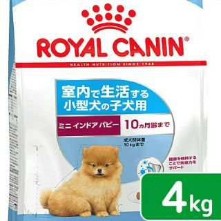 ロイヤルカナン(ROYAL CANIN)のROYAL CANIN ミニインドアパピー　生後10ヵ月ごろまで　4キロ(ペットフード)