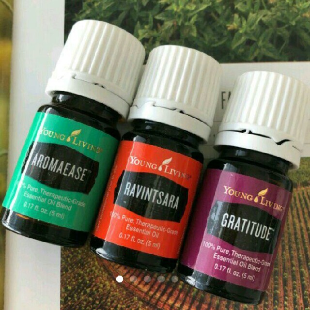 young living ヤングリビング オイル3本 オイルスタンドつき 新品