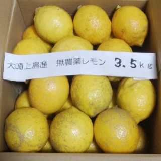 広島県大崎上島無農薬レモン　3.5kg(フルーツ)