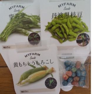 kouga様専用 野菜のたねセット(野菜)