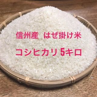 気さくな兄やん様専用　信州産　はぜ掛け米　コシヒカリ  5kg(米/穀物)