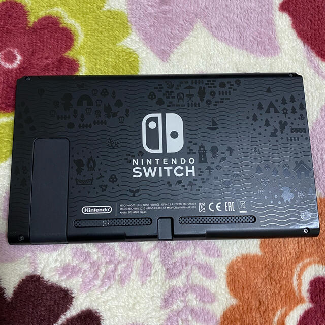 Nintendo Switch どうぶつの森　本体のみ　美品　ケース付き