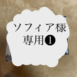 ソフィア様専用出品(その他)